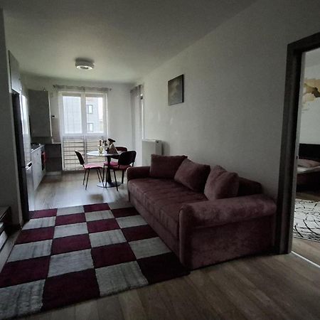 Ludi House Apartment Targu-Mures Bagian luar foto