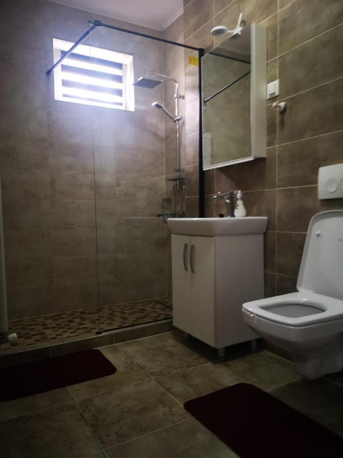 Ludi House Apartment Targu-Mures Bagian luar foto