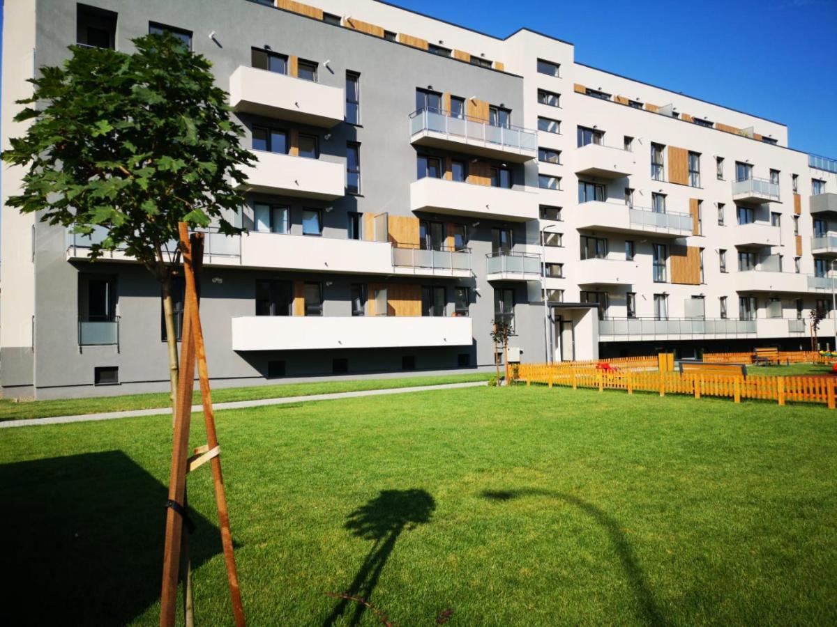 Ludi House Apartment Targu-Mures Bagian luar foto