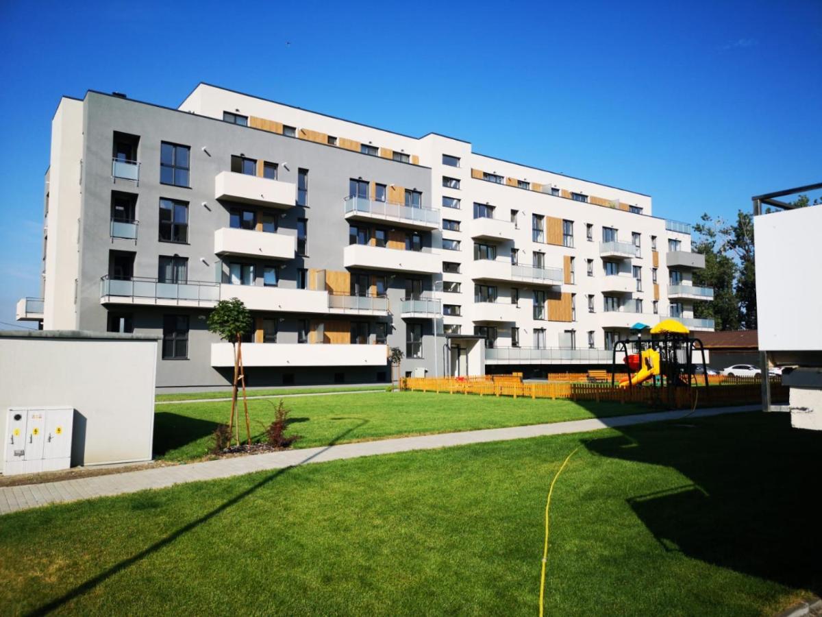 Ludi House Apartment Targu-Mures Bagian luar foto