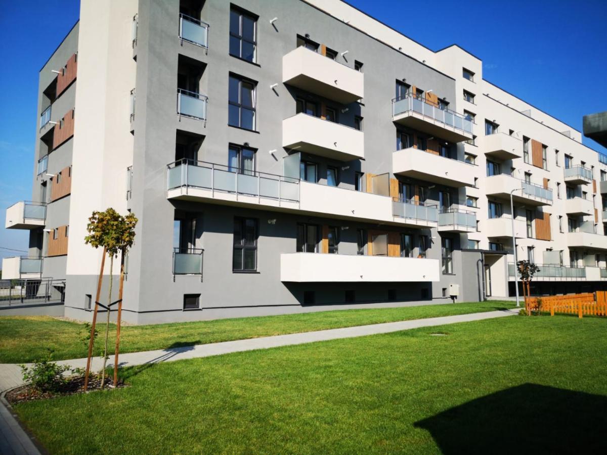 Ludi House Apartment Targu-Mures Bagian luar foto