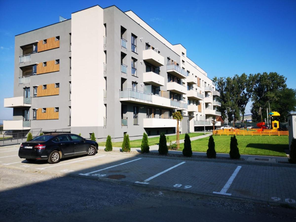 Ludi House Apartment Targu-Mures Bagian luar foto