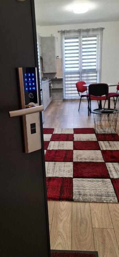 Ludi House Apartment Targu-Mures Bagian luar foto